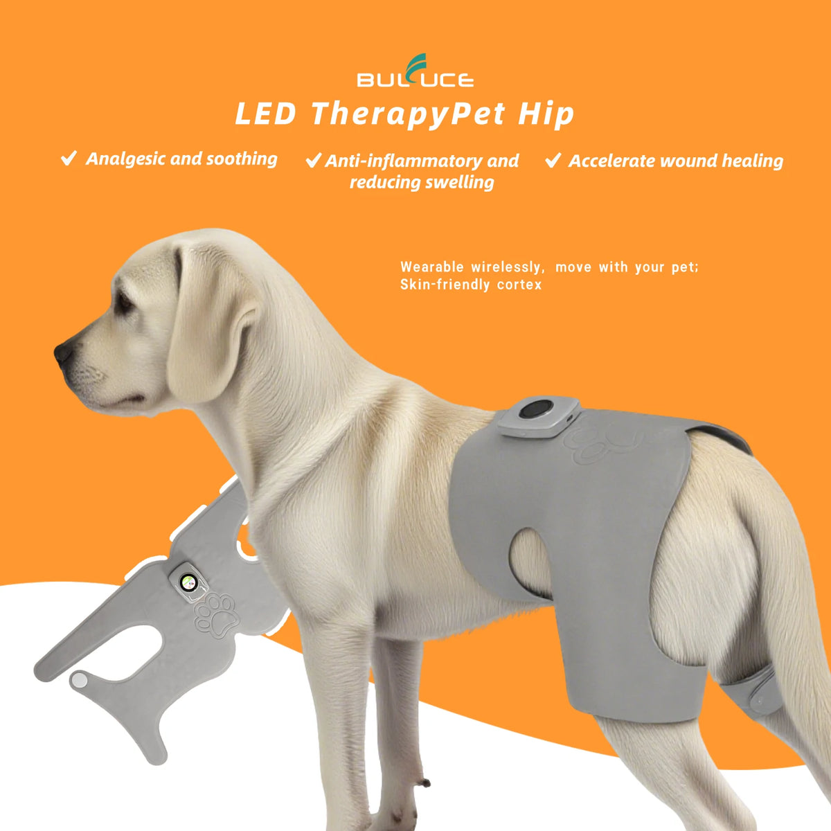 Pet Hip Joint Therapy Device