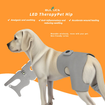 Pet Hip Joint Therapy Device