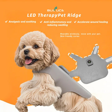 Pet spine therapy device