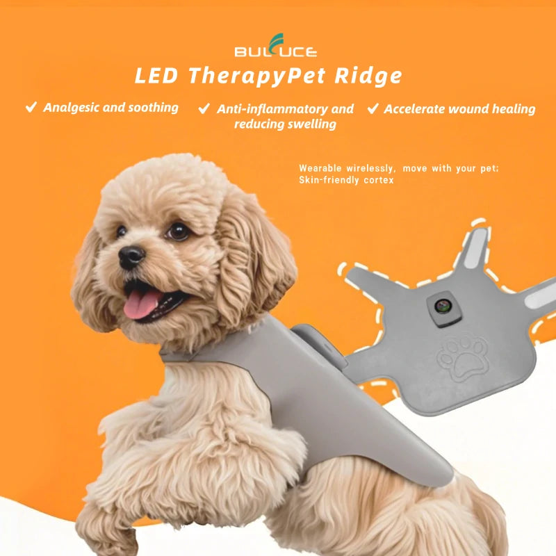 Pet spine therapy device