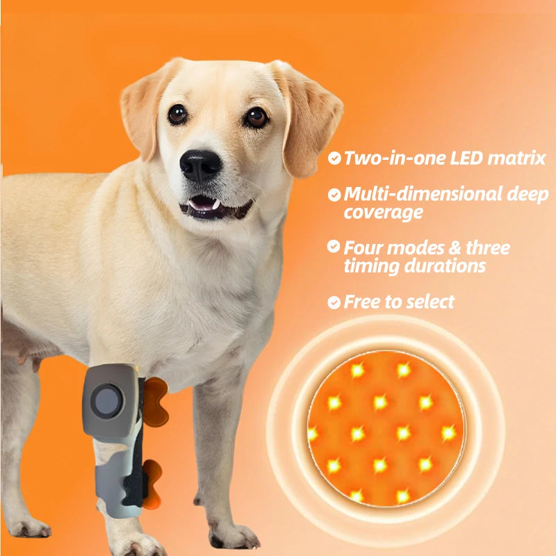 Pet Joint Therapy Device