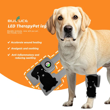 Pet Joint Therapy Device